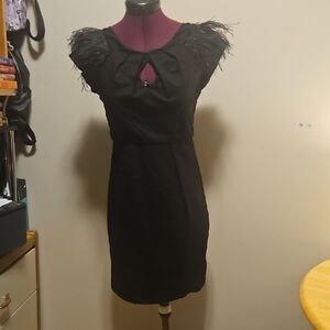 Elegant Black Feather-Trimmed Dress